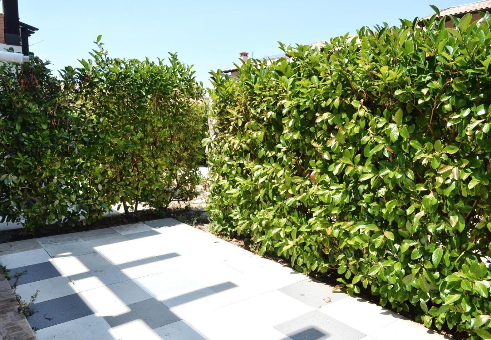 Le Case Del Carmine Con Giardino E Parcheggio A Tropea Exteriér fotografie