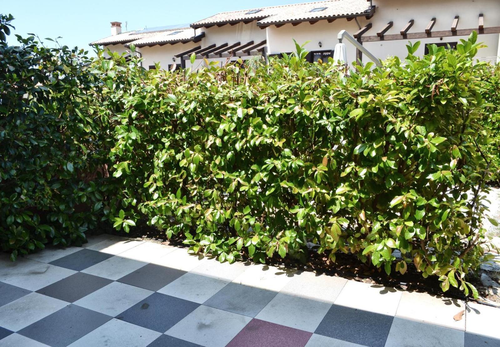 Le Case Del Carmine Con Giardino E Parcheggio A Tropea Exteriér fotografie